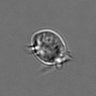 Thumbnail for dataset 3mix-timelapse-plate13_49