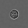 Thumbnail for 3mix-timelapse-plate13_51
