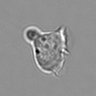 Thumbnail for 3mix-timelapse-plate13_52