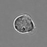 Thumbnail for 3mix-timelapse-plate13_58