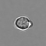 Thumbnail for dataset 3mix-timelapse-plate13_59