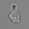 Thumbnail for dataset 3mix-timelapse-plate13_62