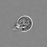 Thumbnail for dataset 3mix-timelapse-plate13_65