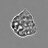 Thumbnail for dataset 3mix-timelapse-plate13_74