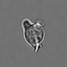 Thumbnail for 3mix-timelapse-plate13_79