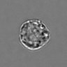 Thumbnail for dataset 3mix-timelapse-plate14_65