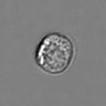 Thumbnail for 3mix-timelapse-plate15_74