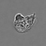 Thumbnail for 3mix-timelapse-plate15_82