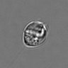 Thumbnail for dataset 3mix-timelapse-plate15_94