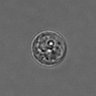 Thumbnail for 3mix-timelapse-plate15_95