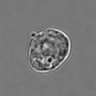 Thumbnail for dataset 3mix-timelapse-plate16_10