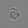 Thumbnail for dataset 3mix-timelapse-plate16_22