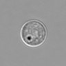 Thumbnail for dataset 3mix-timelapse-plate16_23