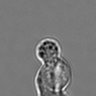 Thumbnail for dataset 3mix-timelapse-plate16_40