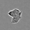 Thumbnail for dataset 3mix-timelapse-plate16_41