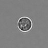 Thumbnail for dataset 3mix-timelapse-plate16_56