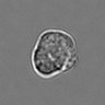 Thumbnail for dataset 3mix-timelapse-plate16_59