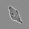 Thumbnail for dataset 3mix-timelapse-plate16_78