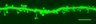 Thumbnail for dataset fig1a_WT_oblique