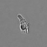 Thumbnail for dataset PBMC-timelapse-plate1_43