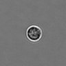Thumbnail for dataset PBMC-timelapse-plate1_47