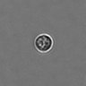 Thumbnail for PBMC-timelapse-plate2_9