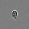 Thumbnail for dataset PBMC-timelapse-plate2_82