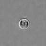 Thumbnail for dataset PBMC-timelapse-plate3_31