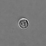 Thumbnail for dataset PBMC-timelapse-plate3_42