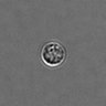 Thumbnail for dataset PBMC-timelapse-plate3_91