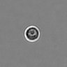 Thumbnail for dataset PBMC-timelapse-plate4_13