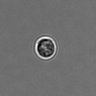 Thumbnail for dataset PBMC-timelapse-plate4_21