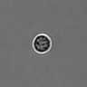 Thumbnail for dataset PBMC-timelapse-plate4_26