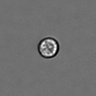 Thumbnail for dataset PBMC-timelapse-plate5_8