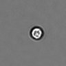 Thumbnail for dataset PBMC-timelapse-plate5_29