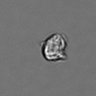 Thumbnail for dataset PBMC-timelapse-plate5_30