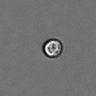 Thumbnail for dataset PBMC-timelapse-plate5_32