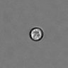 Thumbnail for dataset PBMC-timelapse-plate5_33