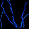 Thumbnail for dataset fig5a_control_2