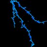 Thumbnail for dataset fig5a_KN93_1