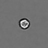 Thumbnail for dataset PBMC-timelapse-plate6_15