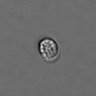 Thumbnail for PBMC-timelapse-plate6_54