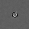 Thumbnail for dataset PBMC-timelapse-plate6_62