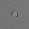 Thumbnail for dataset PBMC-timelapse-plate6_63