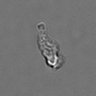 Thumbnail for dataset PBMC-timelapse-plate6_64