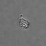 Thumbnail for PBMC-timelapse-plate6_71