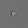 Thumbnail for dataset PBMC-timelapse-plate6_95