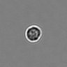 Thumbnail for dataset PBMC-timelapse-plate7_5