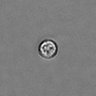Thumbnail for dataset PBMC-timelapse-plate7_19