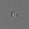 Thumbnail for PBMC-timelapse-plate7_32